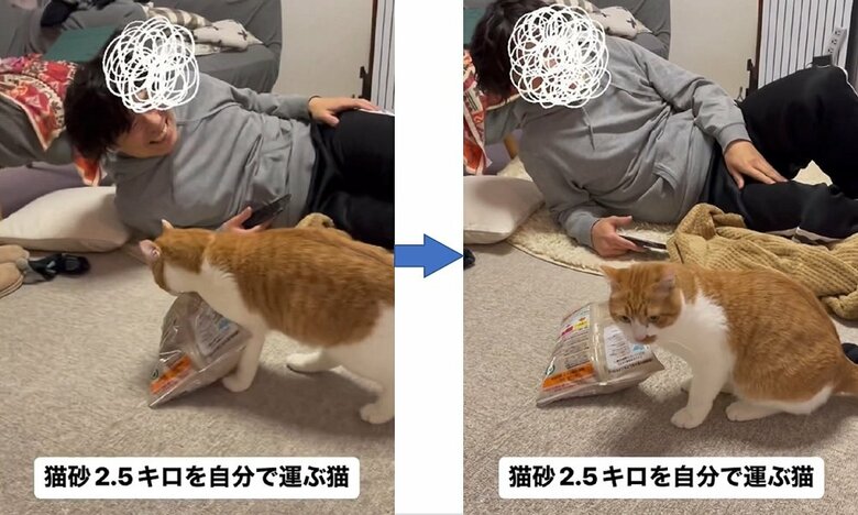飼い主さんの旦那さんの元へ到着