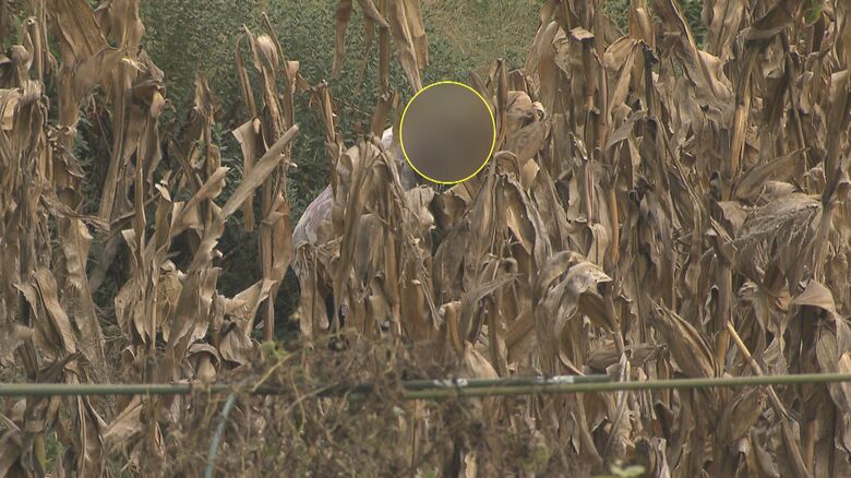 土を耕すような動作をしていた女性