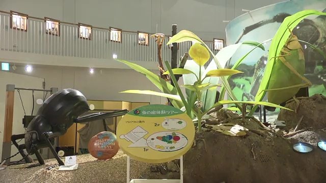 ムシテックワールドの「なぜだろうランド」