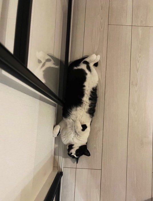 提供：卵山玉子先生