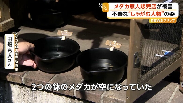 「合計2000円の被害。本当に許せない」と話すメダカの無人販売所店主