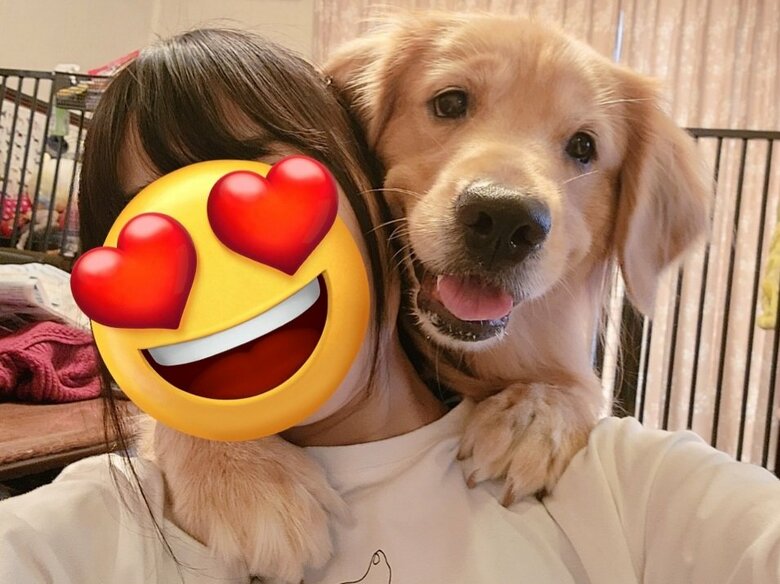 提供：Charlotte@ゴールデンレトリバーさん