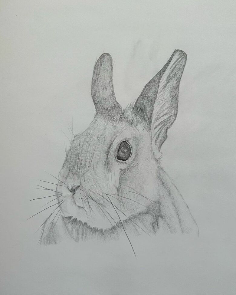 小学2年生の時に描いた「うさぎ」