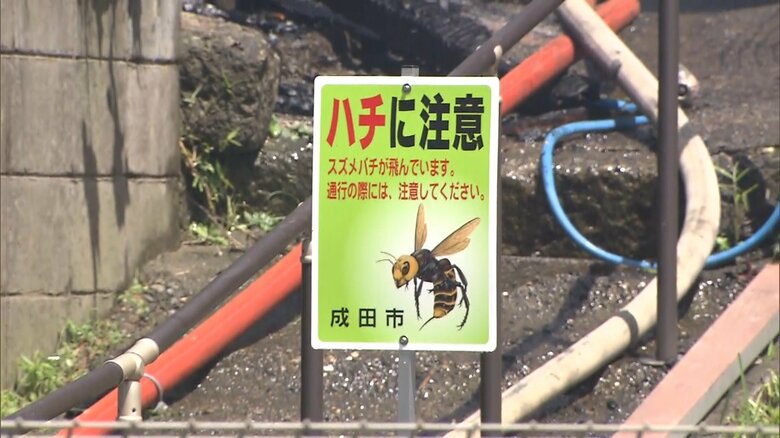 現場には「ハチに注意」の看板