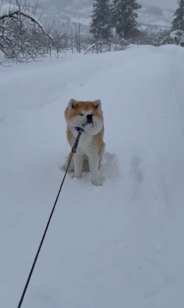 後ろ足に力を入れて耐える！