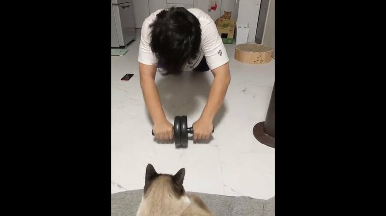 提供：たぬき&とらさん