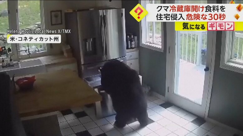 クマが冷蔵庫をあさっている