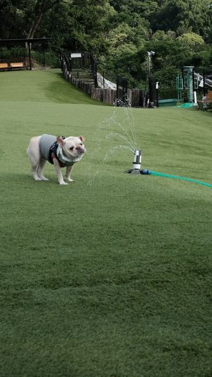 提供：むぎさん