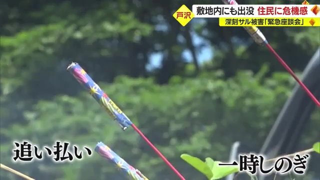 「追い払い」対策では一時しのぎ…