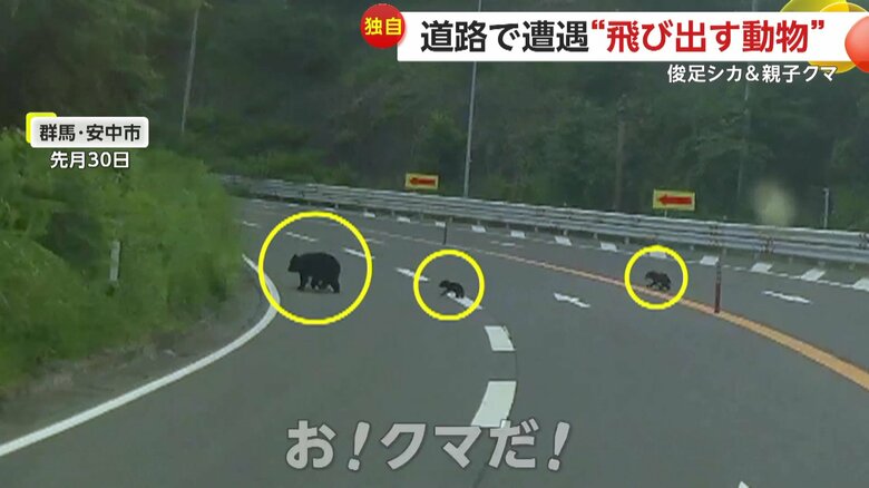 「おっ！クマだ！」と声をあげていた撮影者（6月30日、群馬・安中市）