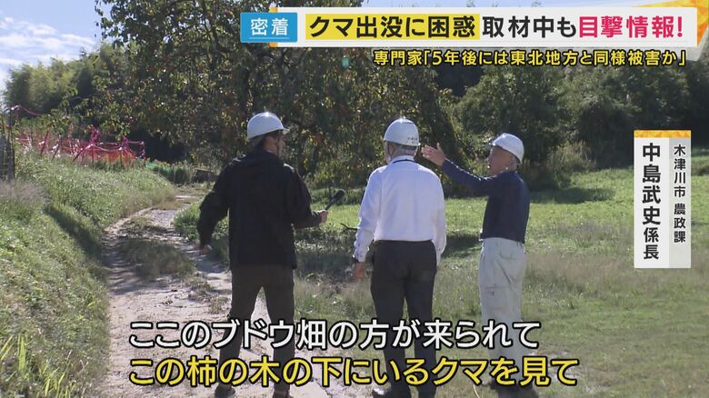 この柿の木の下にクマがいた