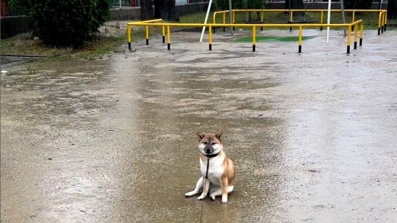 公園で帰宅拒否モードに