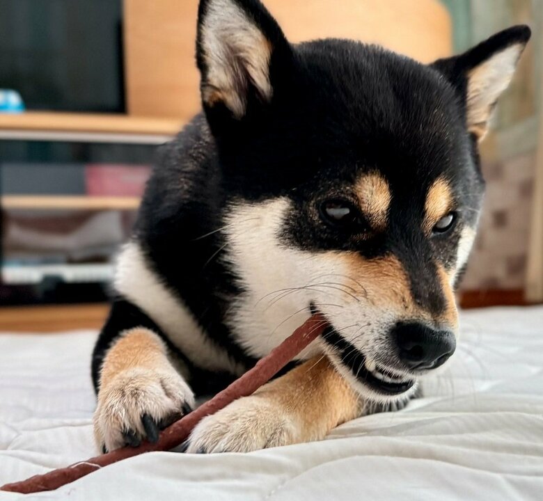 もぐもぐ