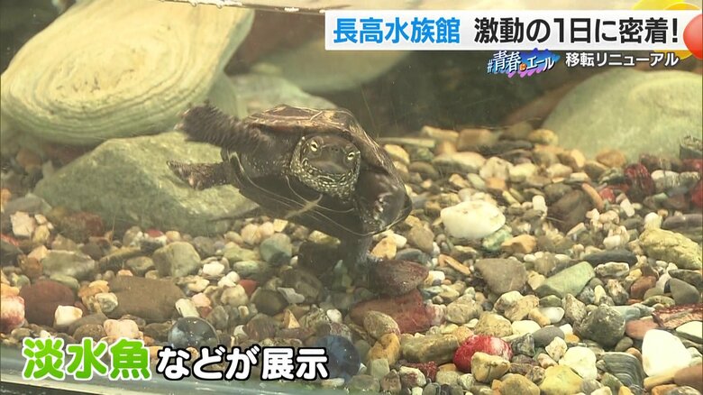 「肱川エリア」