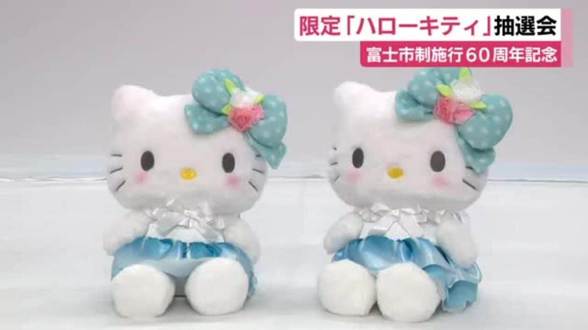 ⭐︎稀少⭐︎ハローキティ ぬいぐるみ 花柄ドレス　麦わら帽子 富士山と駿河湾イメージしたワンピースに富士市の花・バラのリボン
