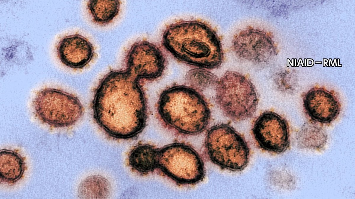 新型コロナ 東京都で新たに249人の感染確認 国内 10月10日