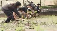 北九州市の小学生が田植え体験　県産米「元気つくし」の苗を植え付け　食の大切さ学ぶ　福岡