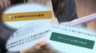 【AIで巧妙化するフィッシング詐欺】本物そっくりの”偽メール”…リンク押した札幌の20代男性がテーマパークのチケット代4万7600円を引き落とされる「どこまで漏れたのか恐怖でした」〈みやぶれ〉