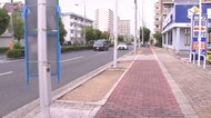 「雑草1本が生えていても“減点対象”に…」ビッグモーターの“店舗前だけ”街路樹が枯れている問題　大阪市も調査へ