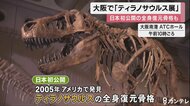 「ティラノサウルス展」日本初公開の全身復元骨格も 大阪市