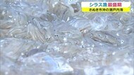 生・かまあげ・ちりめん…楽しみ方は色々 さぬき市で「シラス漁」が最盛期 【香川・さぬき市】
