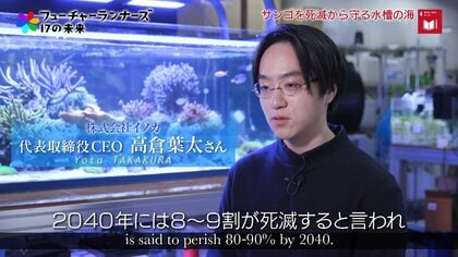 水槽でサンゴの人工産卵に成功！海好きの少年が切り開いたAI活用による“サンゴ養殖”への道