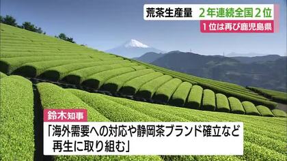 凋落が著しい静岡茶　荒茶の生産量は2年連続で鹿児島に及ばず　中山間地での栽培が多く機械の導入が困難