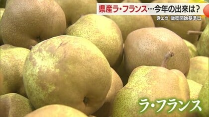 甘くておいしい「ラ・フランス」スーパー店頭に並ぶ　“追熟”させてよりおいしく食べて　山形