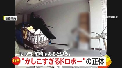 【独自】「前科はあると思う」賢すぎる泥棒カラスの手慣れた手口…期間限定味のカップ麵にカラス対策したポテチまで