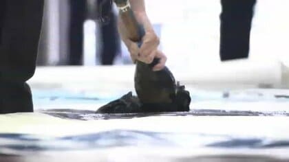 巨大な紙に書き上げた「道標」…高校生が書道パフォーマンス披露　アフガン人道支援の故・中村哲医師をに思いはせる　福岡