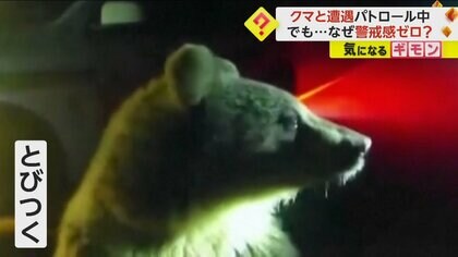 パトロール中に警察官が子グマ2頭と遭遇するも…警戒感ゼロ　自称調教師の敷地から脱走　米・フロリダ州