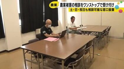 稲刈りできない農家を支援　大雨被害の相談窓口が羽咋市に開設　作業マッチングや融資も