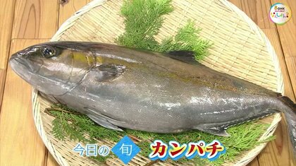 【瀬戸内旬紀行】見た目はメタリックブラック…今が「旬」カンパチの魅力を徹底解剖【岡山・香川発】