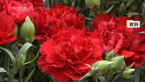 バラ値上がりは中東情勢で輸入ルート変更　新入生の制服も原油高騰で価格上昇か　重油供給不足で露天風呂休止の施設も