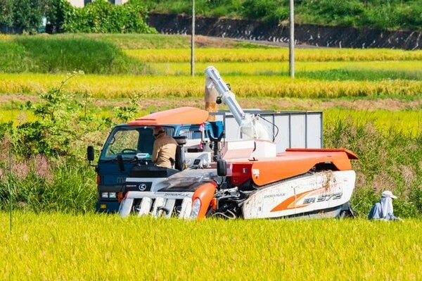 【中古】 コメと農業が危ない 「コメ・農業潰しに黙っていられない」東北集会報告/同友館/坂本進一郎 maxresdefault.jpg