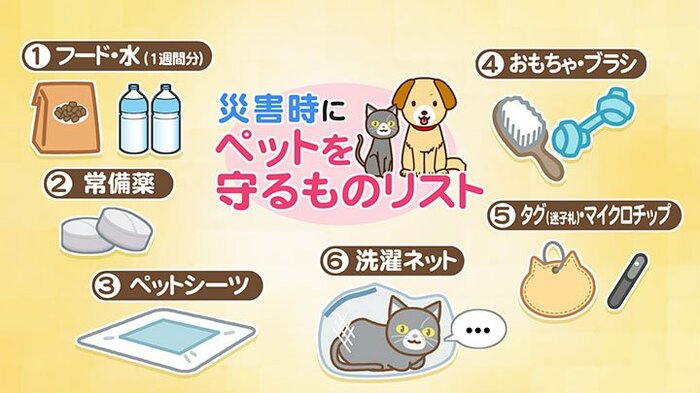 災害時にペットを守るものリスト