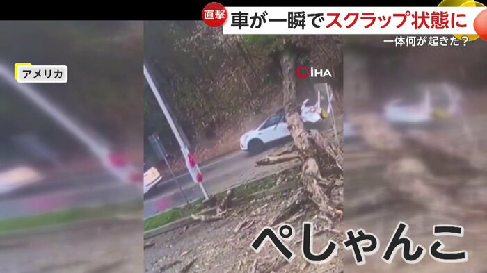 大幅に潰れてしまっている車体