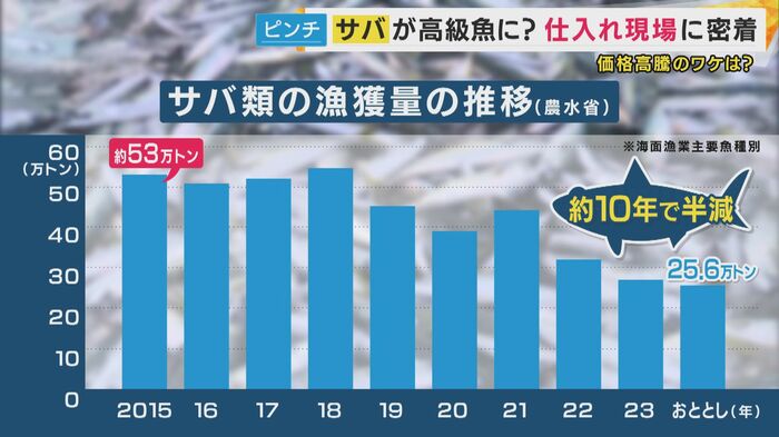 サバ類の漁獲量の推移（農水省）