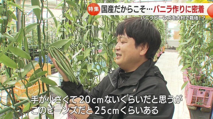 国際基準を大きく上回るほどに成長