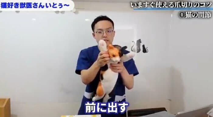 前足を前方に優しく引っ張る体勢がいい