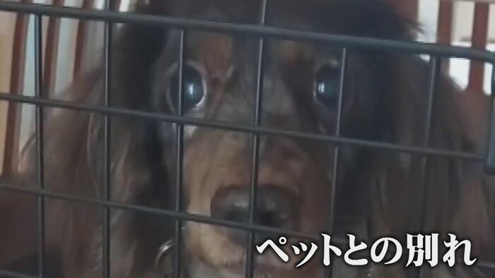 ニュースONE