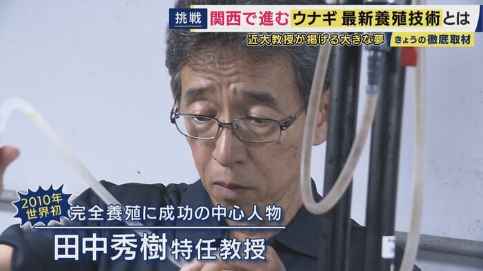 近畿大学水産研究所 田中秀樹特任教授
