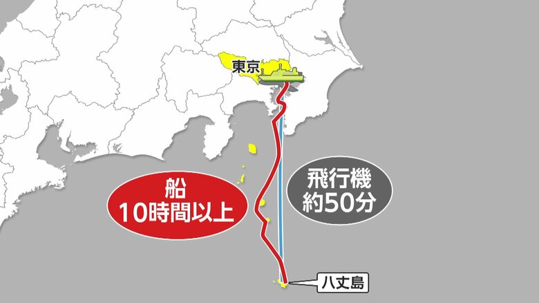 「来年受験だからもっと遊びたかった」台風7号で帰宅前倒し相次ぐ…チケット求め大行列、八丈島からは飛行機50分→船で10時間以上の旅に｜FNNプライムオンライン