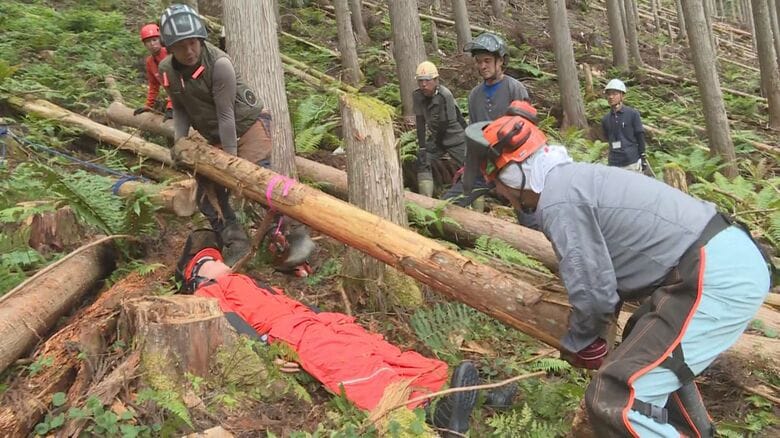 倒木を切って救出…木の伐採中に下敷きとなった作業員を救助する訓練 森林組合や林業関係者らが参加 岐阜県高山市｜FNNプライムオンライン