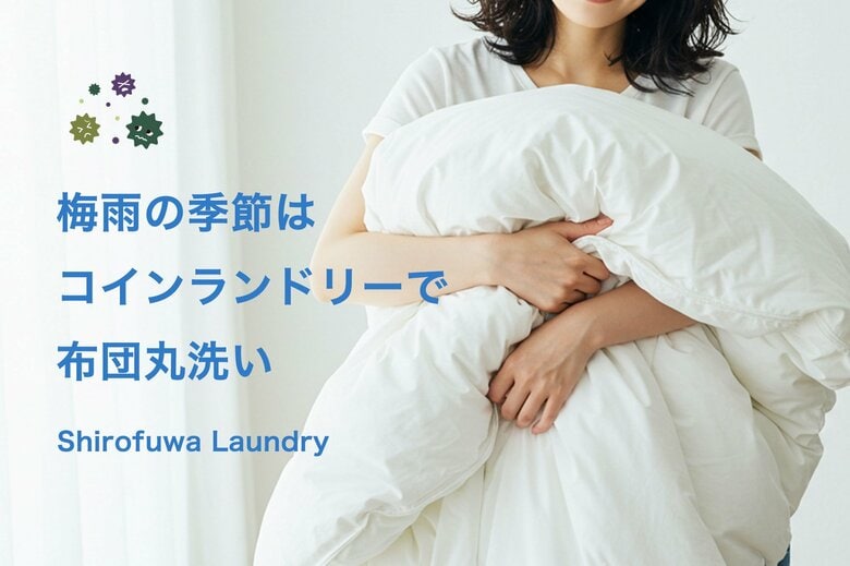 梅雨時期の「布団洗濯」需要が急増　しろふわランドリーで布団洗濯利用が前年比150％に増加　ダニ対策や快眠ニーズを背景に利用拡大