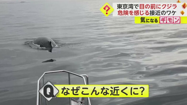 (画像:ビデオポスト(視聴者投稿映像)より)