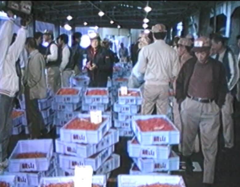 1987年の市場