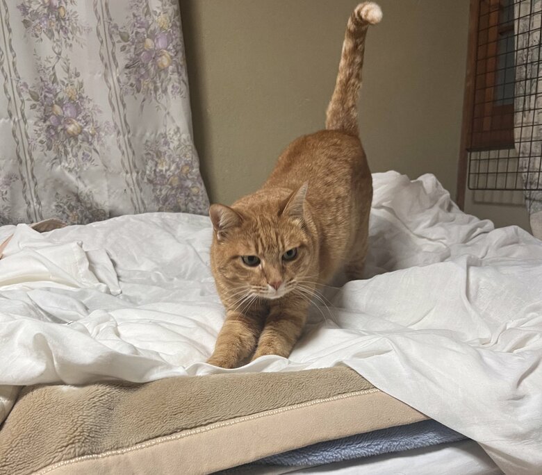 普段はのんびり過ごしている