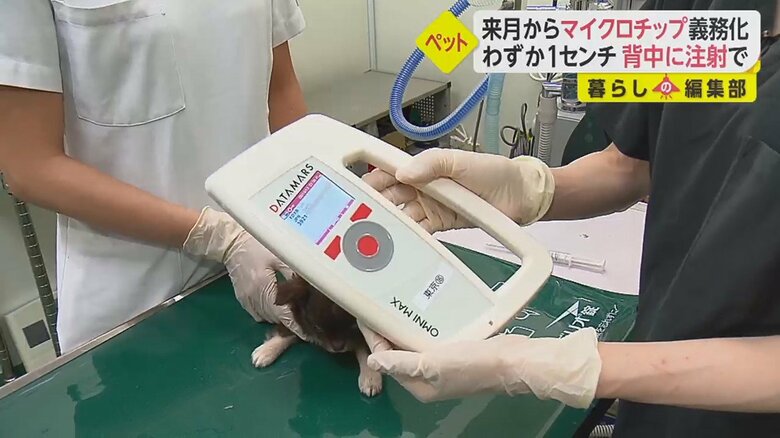 マイクロチップ番号が表示され、飼い主の名前や連絡先などを調べることができる