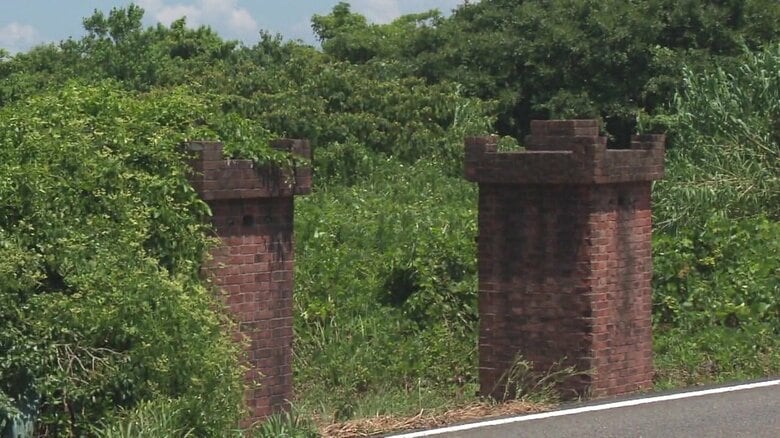 草が生い茂る「川南造船所」の跡地